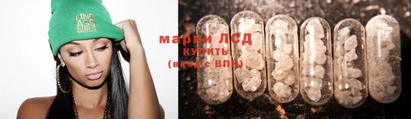 герыч Болотное