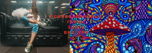 герыч Болотное