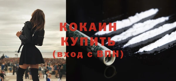 шишки Болхов