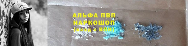 ECSTASY Бикин