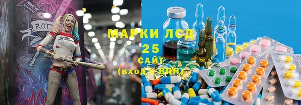 ECSTASY Бикин