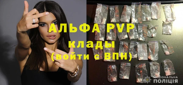 ECSTASY Бикин