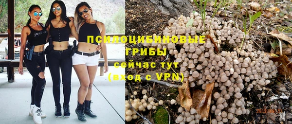 герыч Болотное