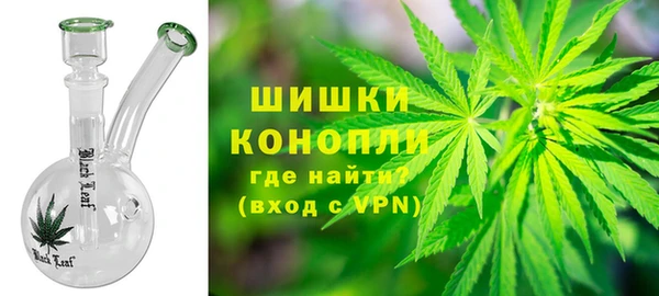 ECSTASY Бикин