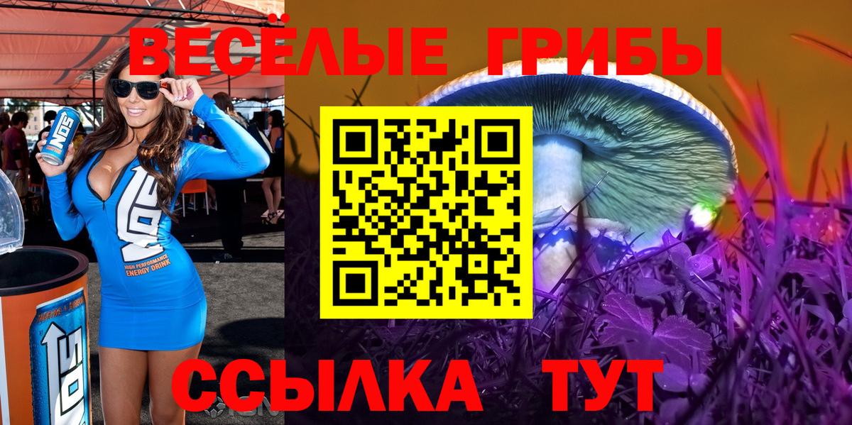 Галлюциногенные грибы Psilocybine cubensis  Псилоцибиновые грибы Magic Shrooms  Волоколамск  Вход с VPN 